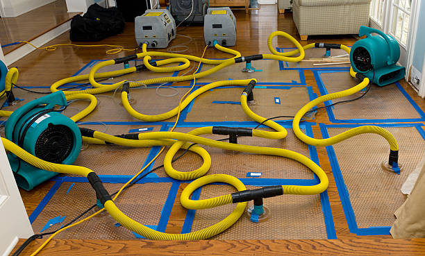 Professional Sewage Cleanup technician working in Highlands, NJ